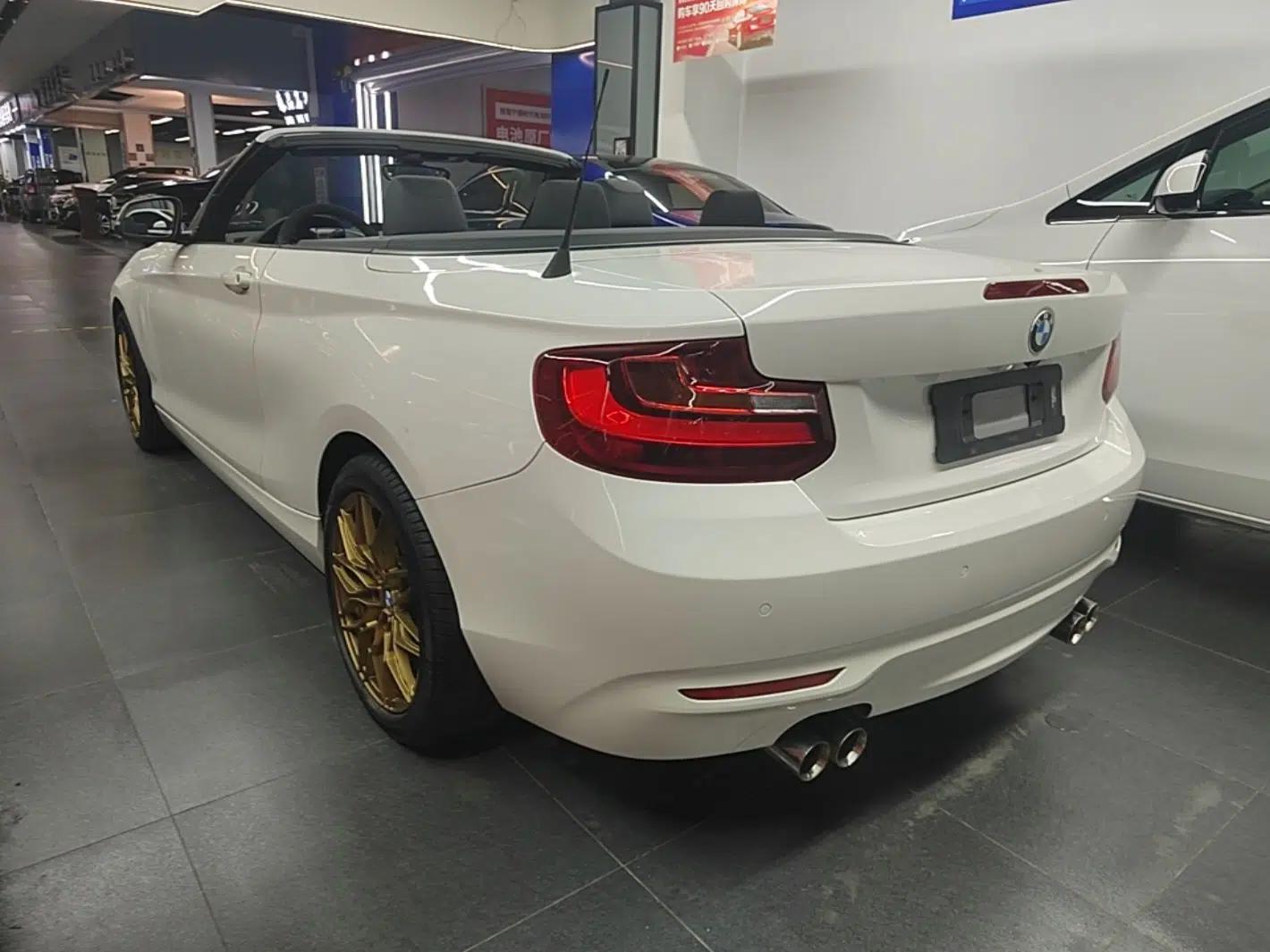 BMW 2 Series 2015 220i Convertible Coupe Leading Model — миниатюра 13