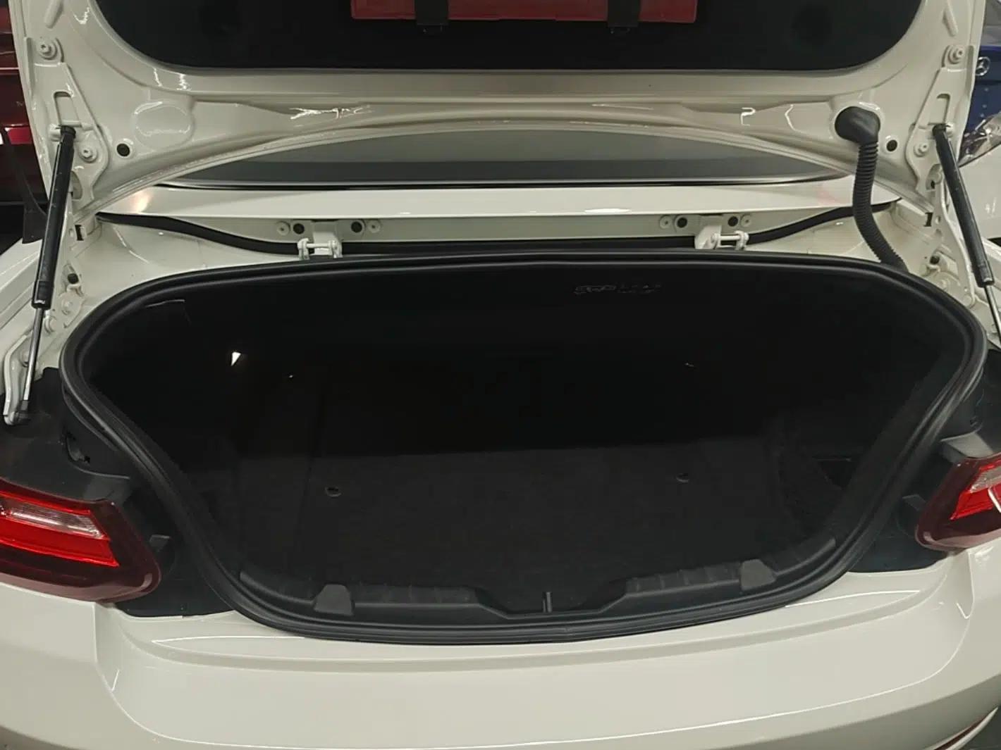 BMW 2 Series 2015 220i Convertible Coupe Leading Model — миниатюра 27