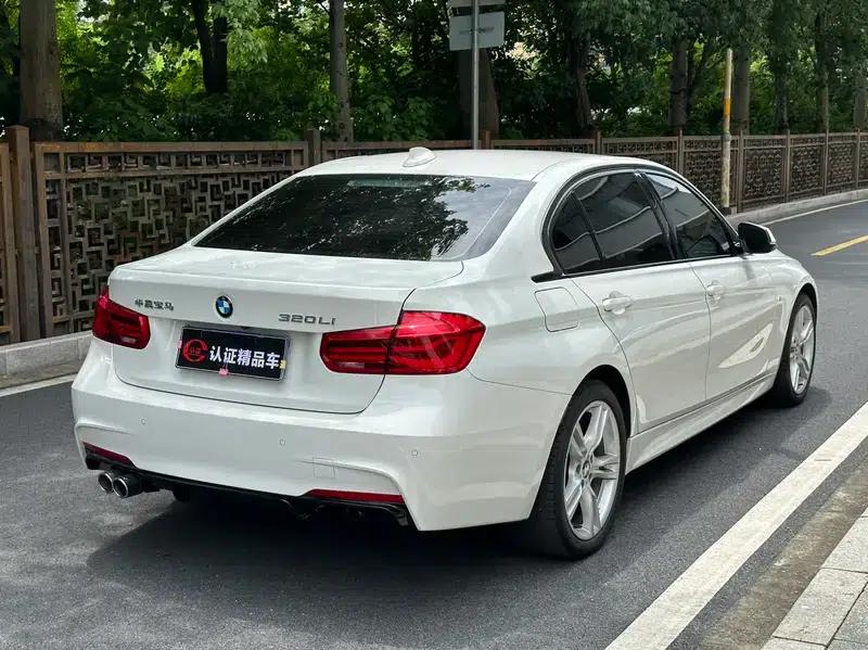 2018 BMW 3 Series 320Li Leading M Sport Package — миниатюра 6