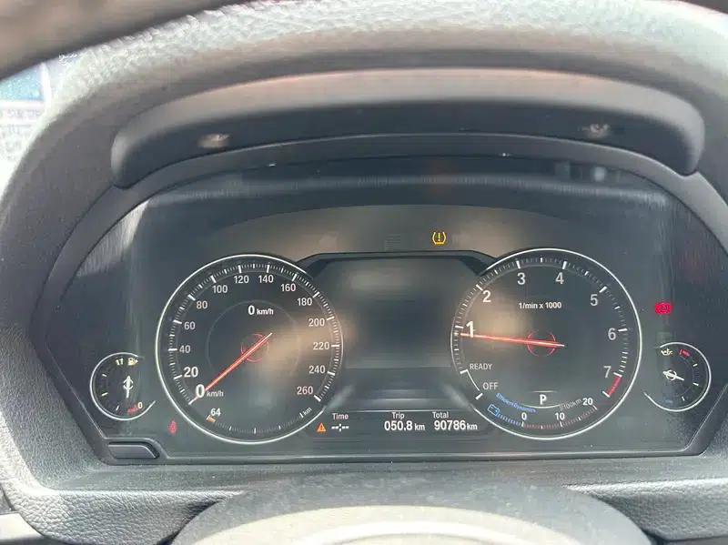 2018 BMW 3 Series 320Li Leading M Sport Package — миниатюра 10