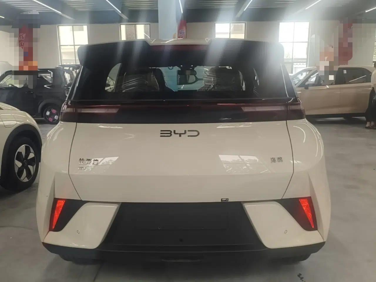BYD Seagull 2025 Intelligent Driving Version 305 km Dynamic Edition — миниатюра 5