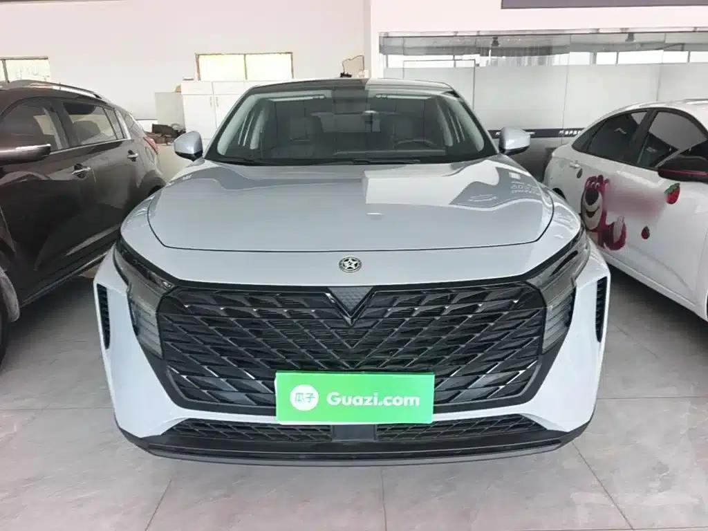 Venucia V2021 260T Idol Edition — миниатюра 3