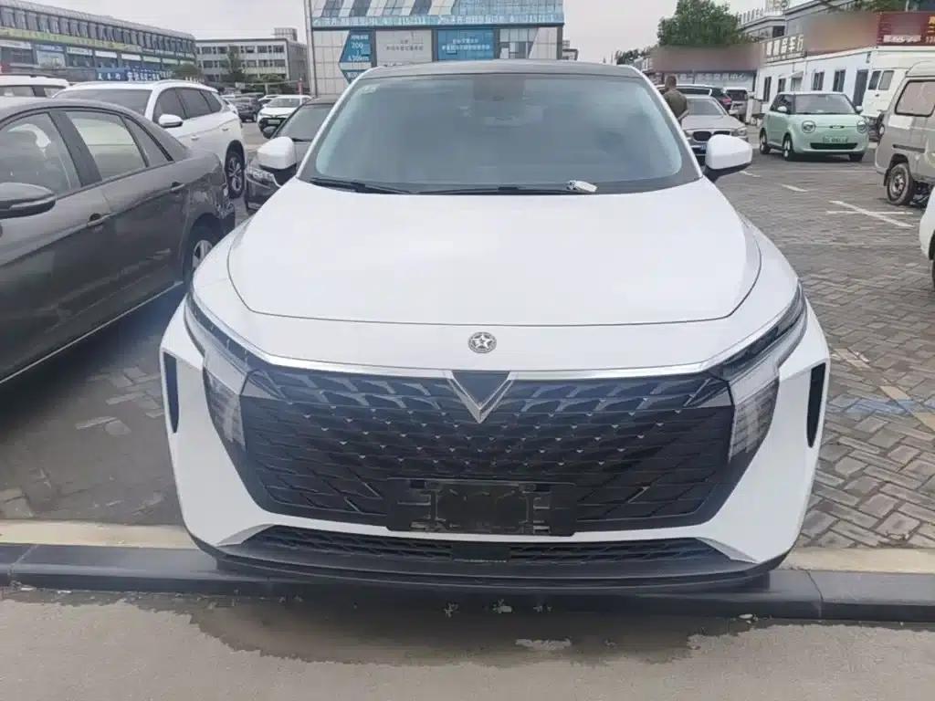 Venucia V2021 260T Idol Edition — миниатюра 3