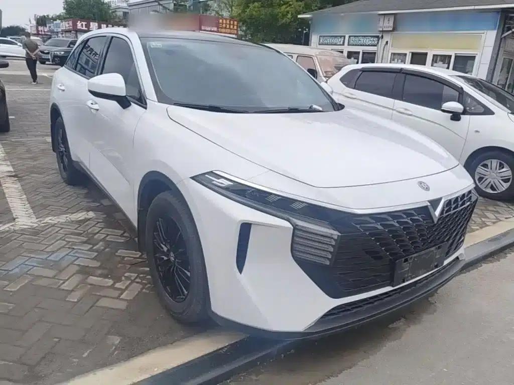 Venucia V2021 260T Idol Edition — миниатюра 22