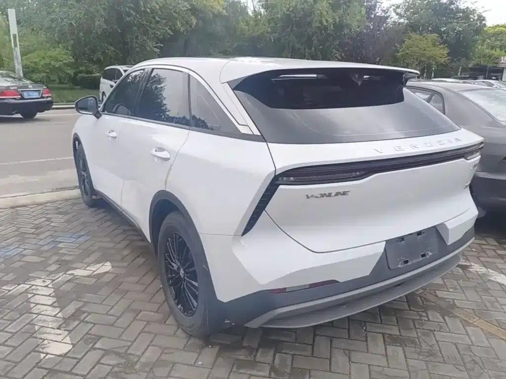 Venucia V2021 260T Idol Edition — миниатюра 23