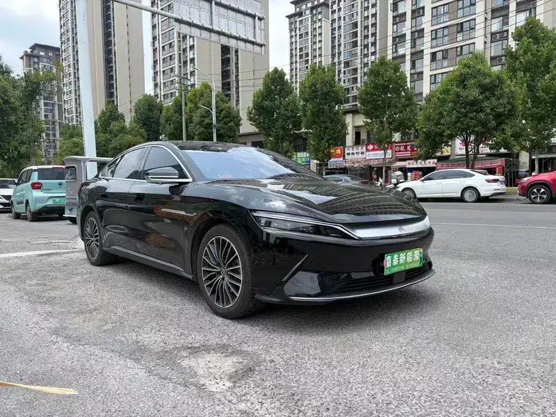 Han EV 2021 Standard Range Luxury Edition — миниатюра 3