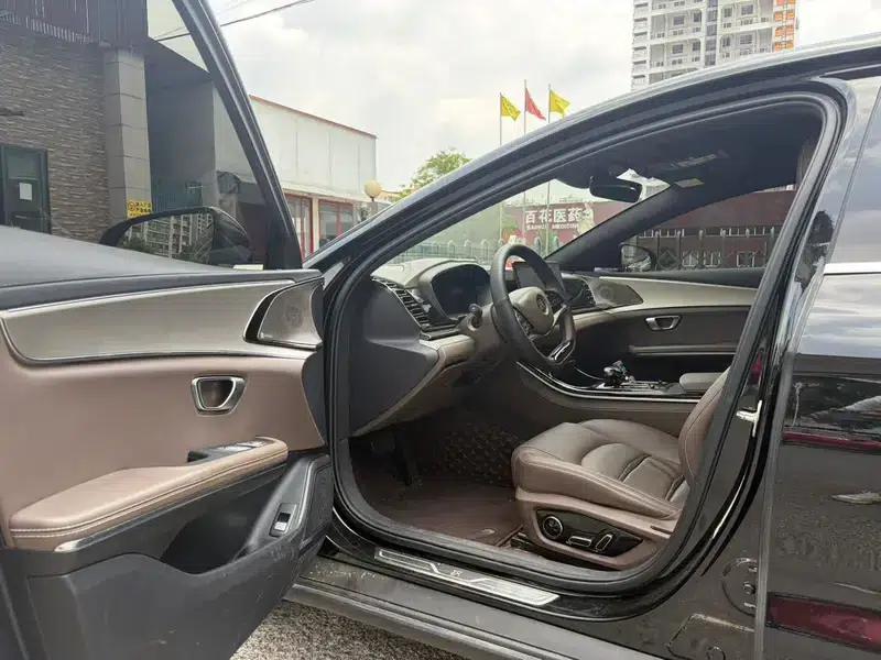 Han EV 2021 Standard Range Luxury Edition — миниатюра 8