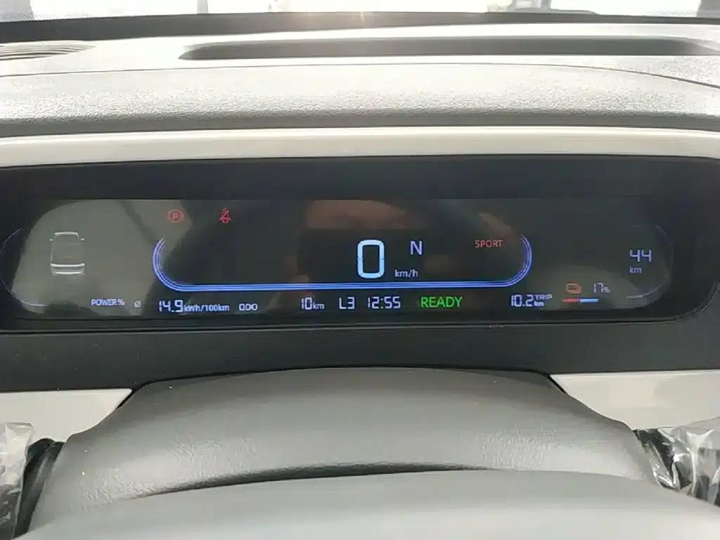 Panda 2025 Panda Mini 210km - Energetic Bear — миниатюра 12