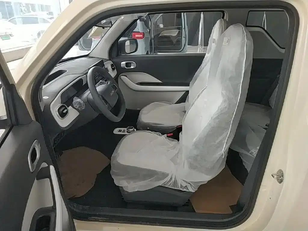 Panda 2025 Panda Mini 210km - Energetic Bear — миниатюра 15