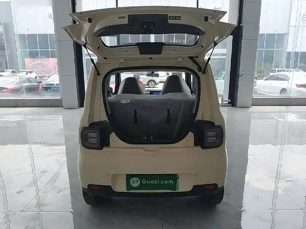 Panda 2025 Panda Mini 210km - Energetic Bear — миниатюра 19