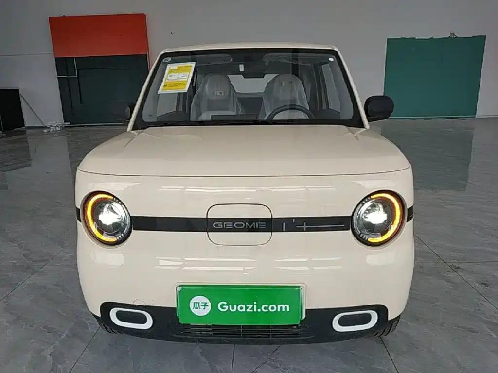 Panda 2025 Panda Mini 210km - Energetic Bear — миниатюра 3