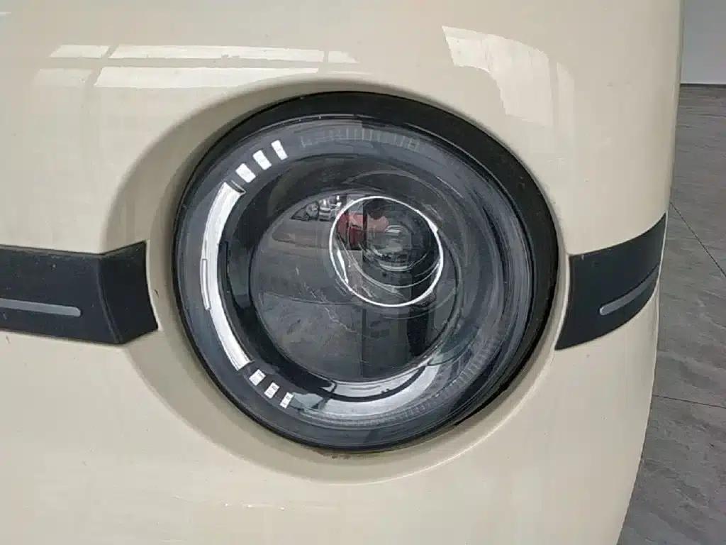 Panda 2025 Panda Mini 210km - Energetic Bear — миниатюра 24