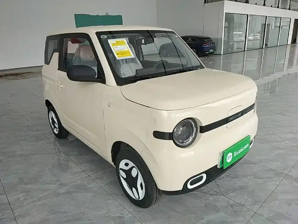 Panda 2025 Panda Mini 210km - Energetic Bear — миниатюра 4