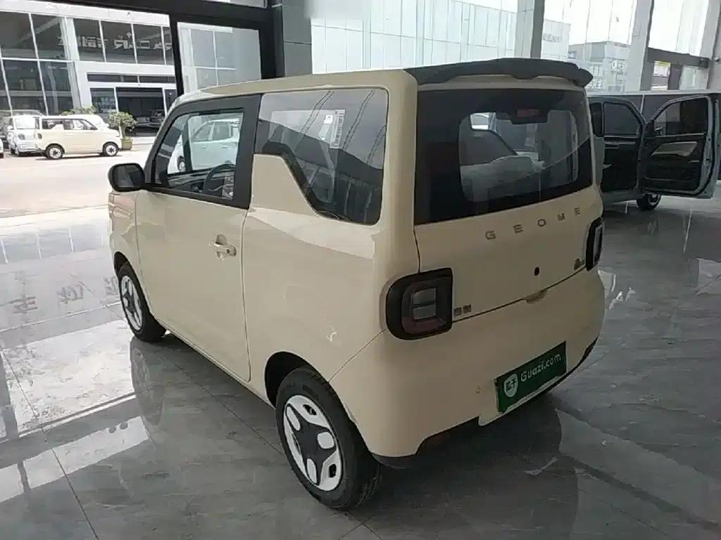 Panda 2025 Panda Mini 210km - Energetic Bear — миниатюра 5
