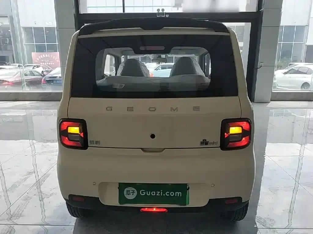 Panda 2025 Panda Mini 210km - Energetic Bear — миниатюра 6