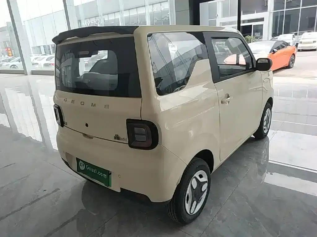 Panda 2025 Panda Mini 210km - Energetic Bear — миниатюра 7