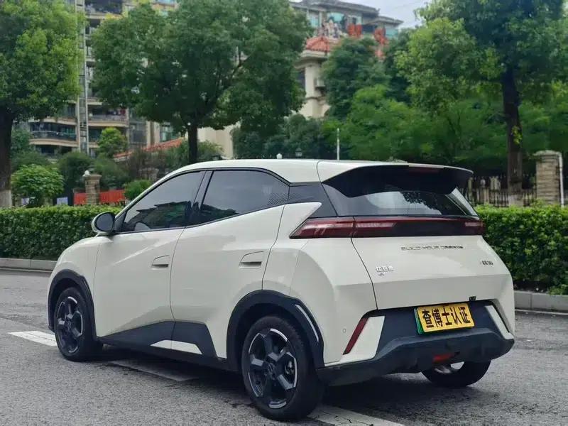 Seagull 2024 Glory Edition 305KM Freedom Edition — миниатюра 5