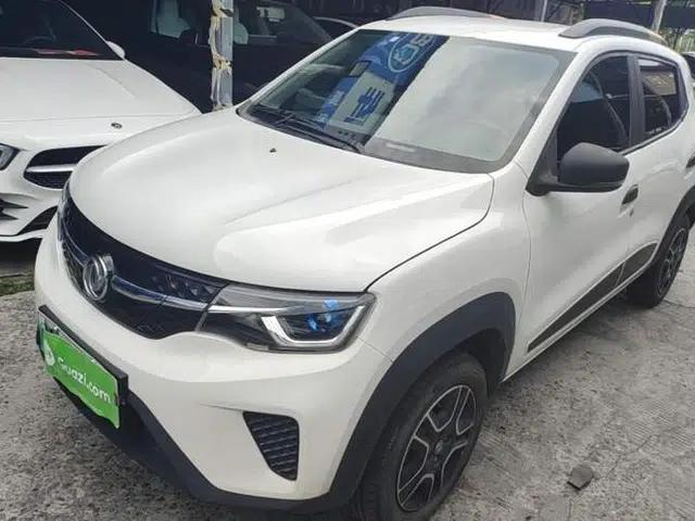 Dongfeng NAMMI EX1 2022 Revised PRO Enjoyment Version