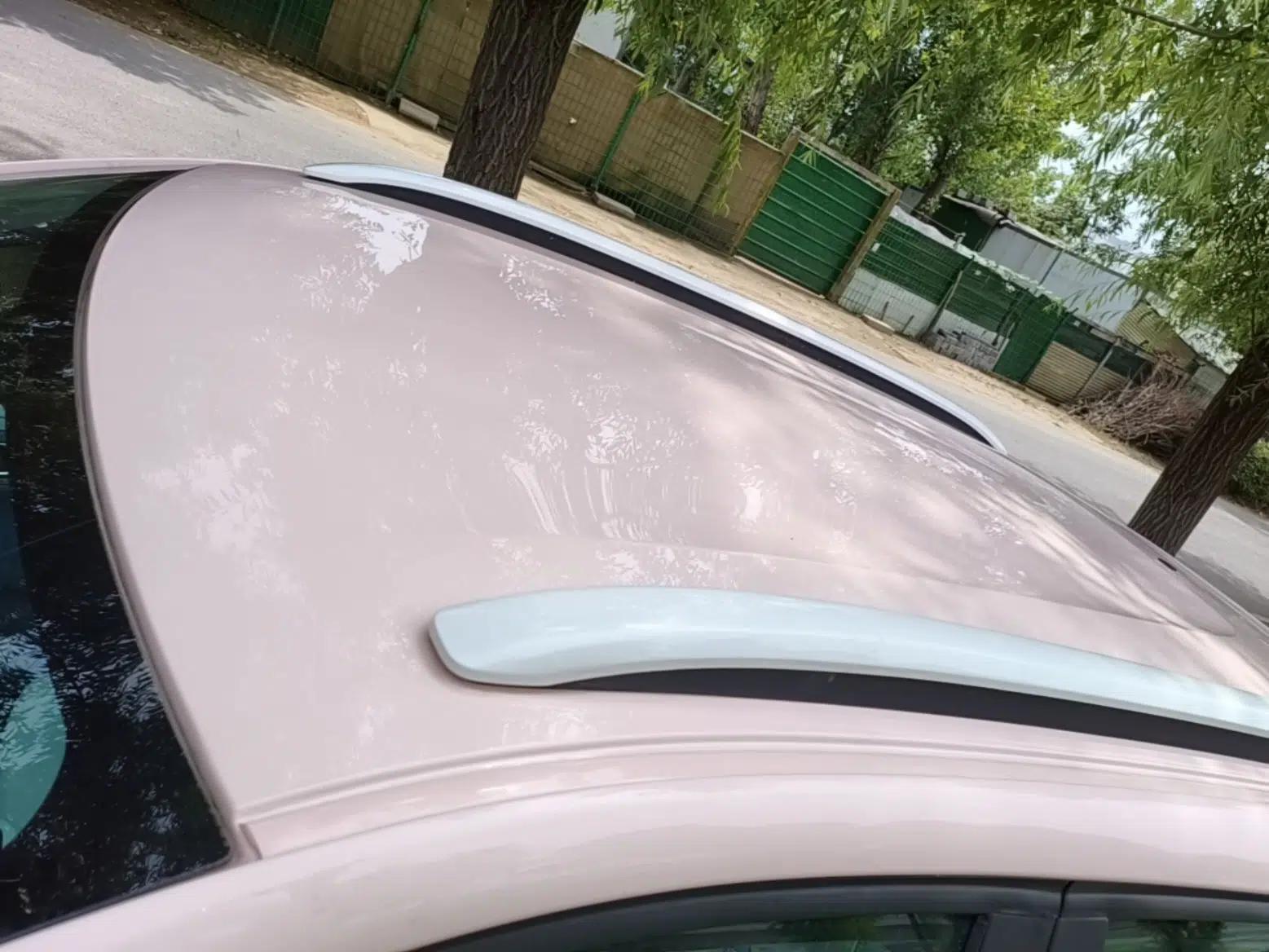 Dongfeng NAMMI BOX 2022 Chasing Wind Edition 351KM Standard Model — миниатюра 7