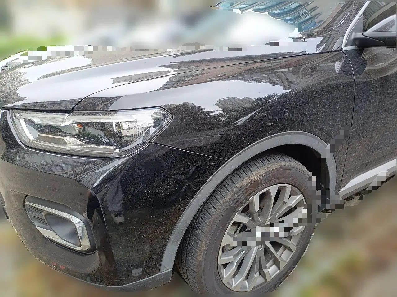 Haval H6 2020 1.5 GDIT Automatic Platinum Champion Edition — миниатюра 1