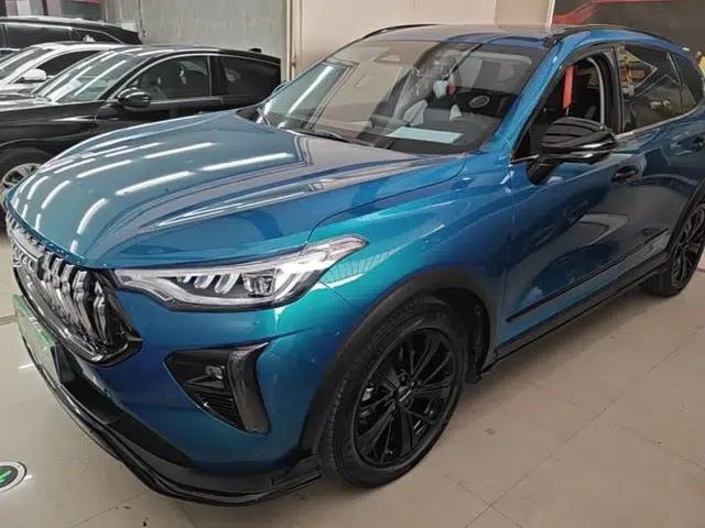 Haval LHERY 2021 High-Performance Version 1.5T Golden Rabbit