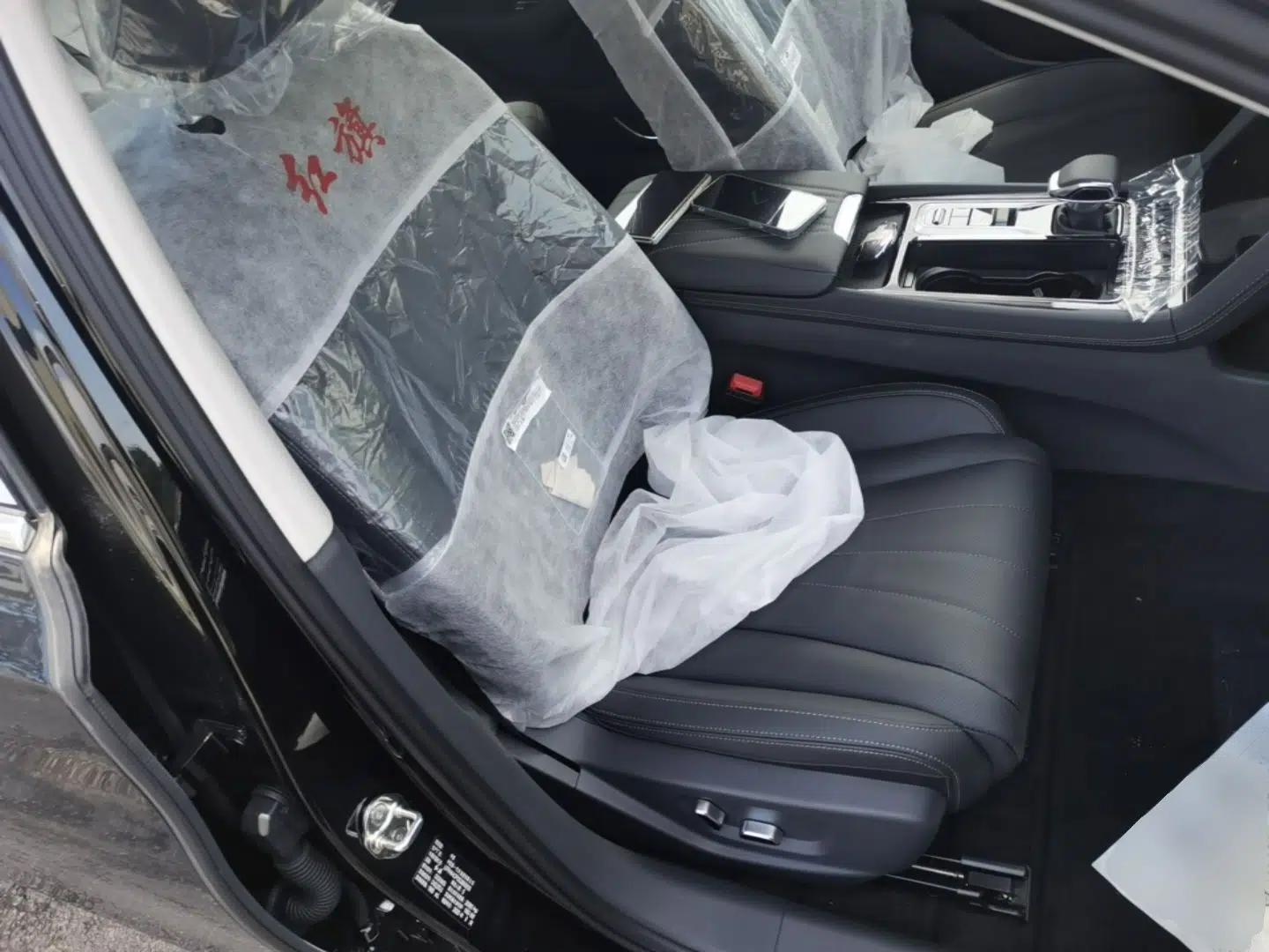 Hongqi H5 2025 2.0T Automatic Flag Edition – 500 000 Units Commemorative Version — миниатюра 19