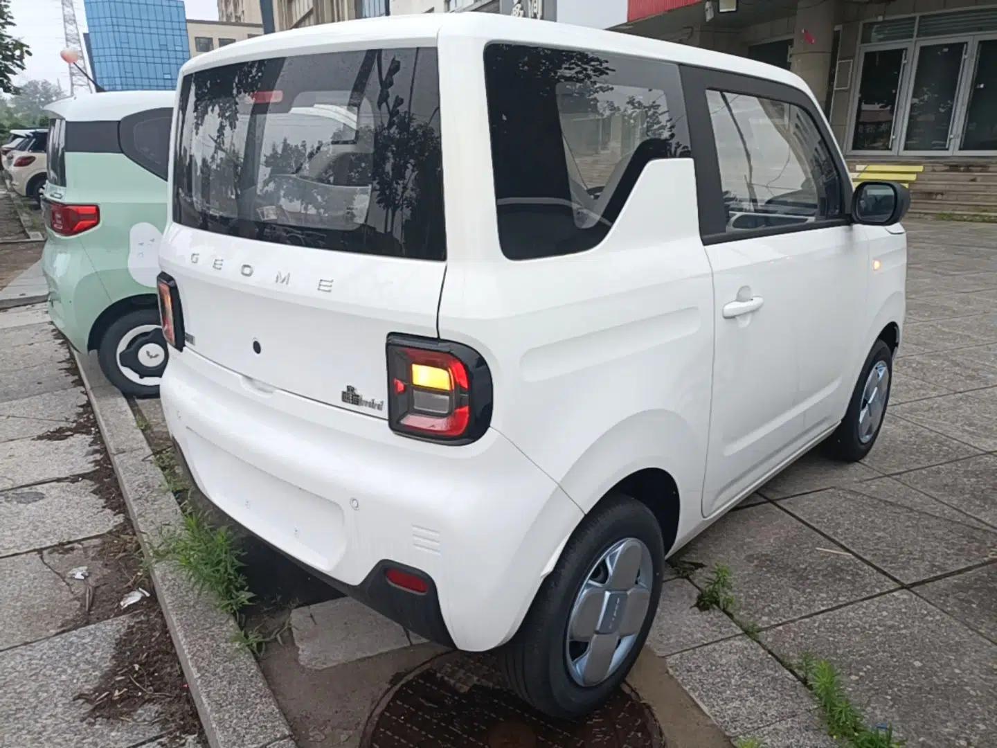 Geely Galaxy Panda 2024 Panda Mini 200km Endurance Bear — миниатюра 6