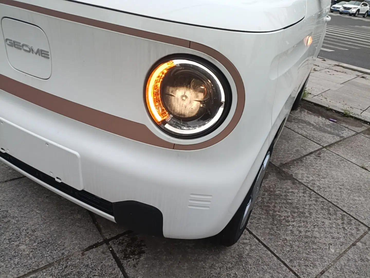 Geely Galaxy Panda 2024 Panda Mini 200km Endurance Bear — миниатюра 8