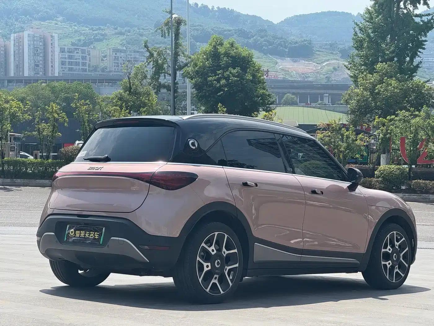 Smart Sprite #1 2022 Pulse Edition — миниатюра 5