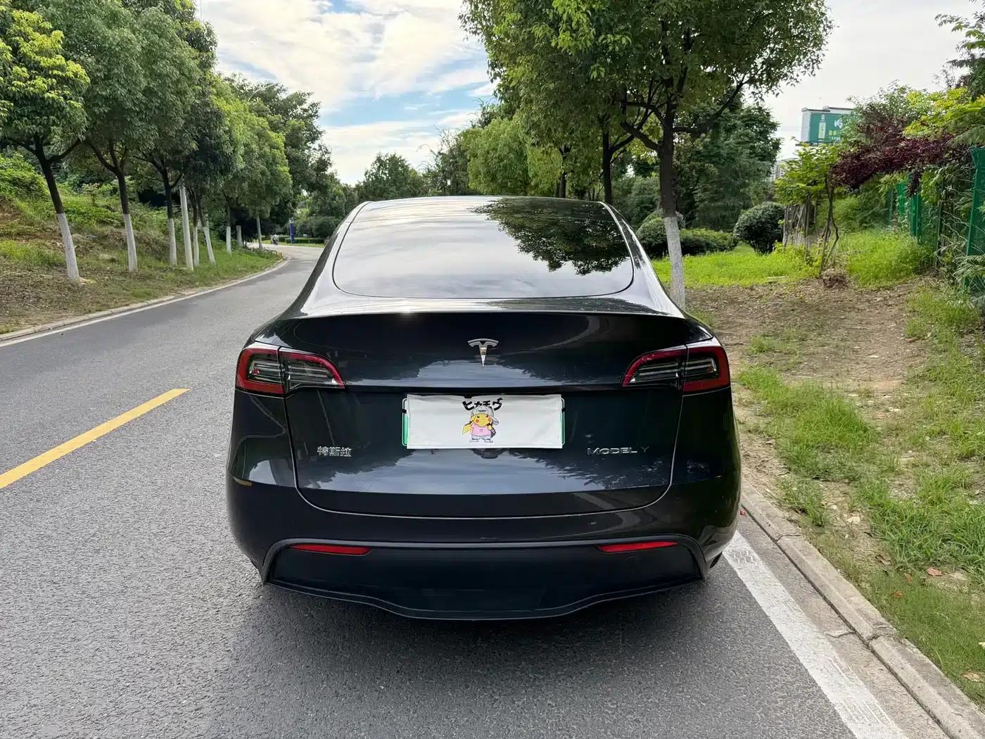 Model Y 2024 Rear-Wheel Drive — миниатюра 13