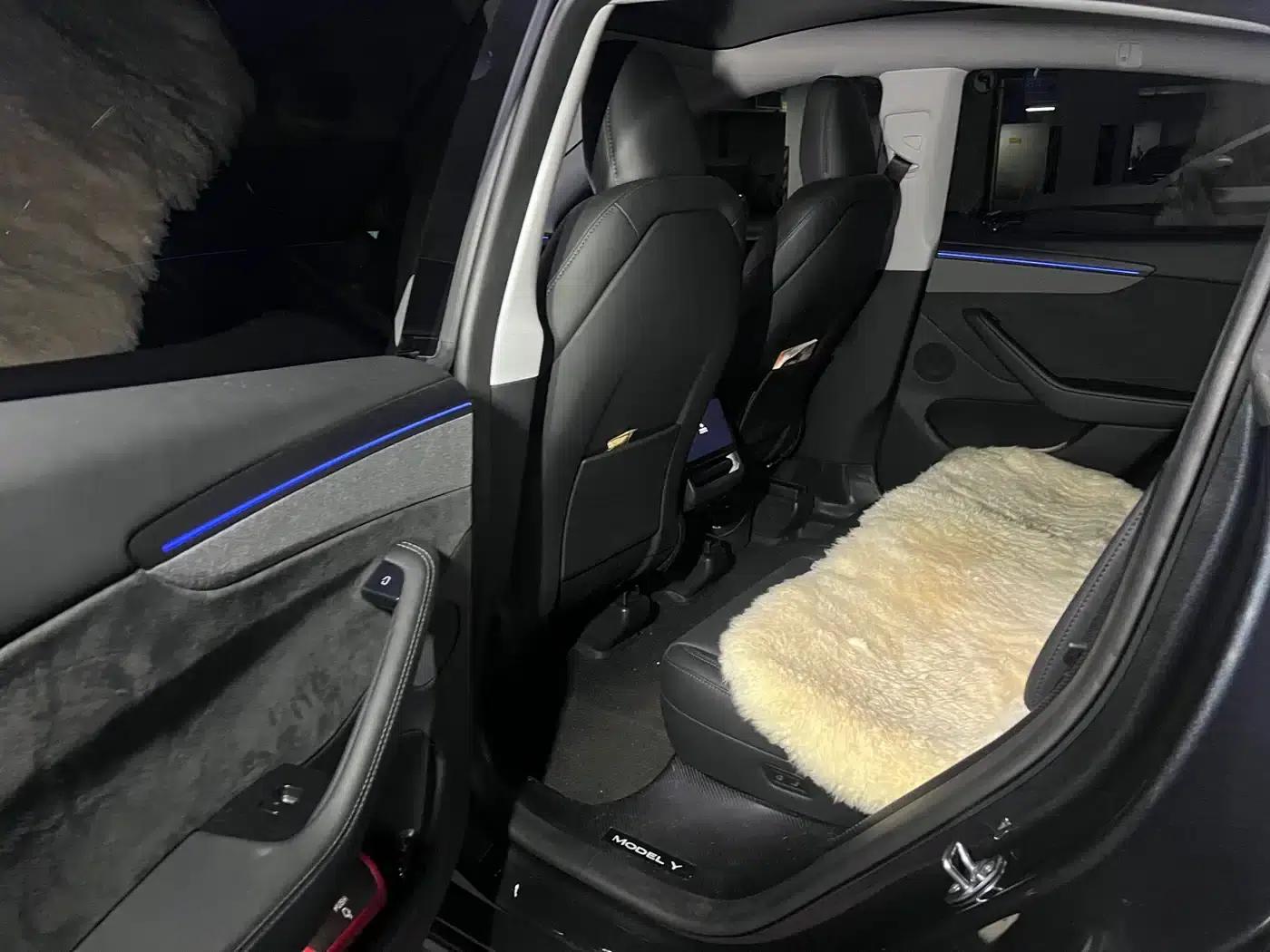 Model Y 2025 Facelift Long Range All-Wheel Drive Version — миниатюра 6
