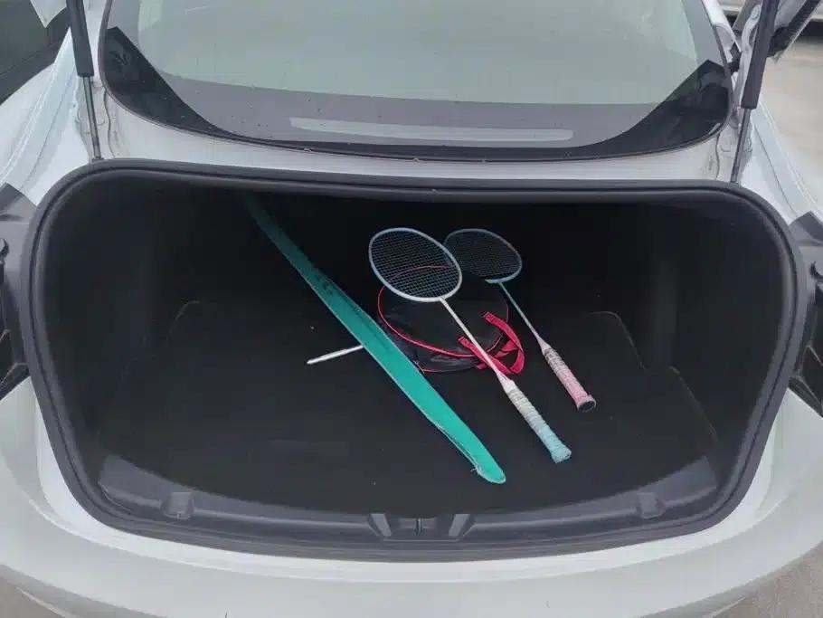 Model 3 2020 Standard Range Rear-Wheel Drive Upgrade — миниатюра 4