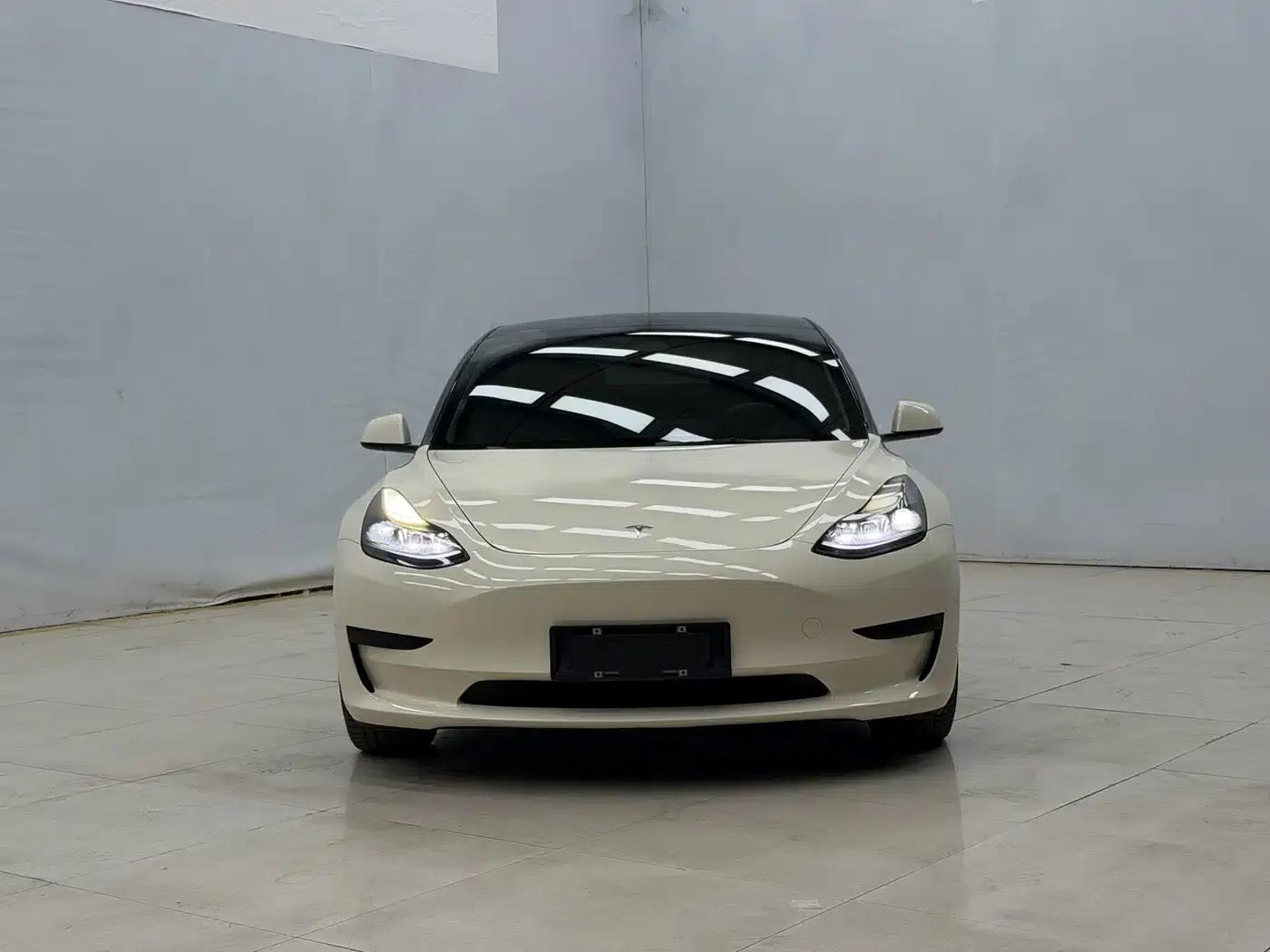 Model 3 2021 Standard Range Rear-Wheel Drive Upgrade 3D6 — миниатюра 2