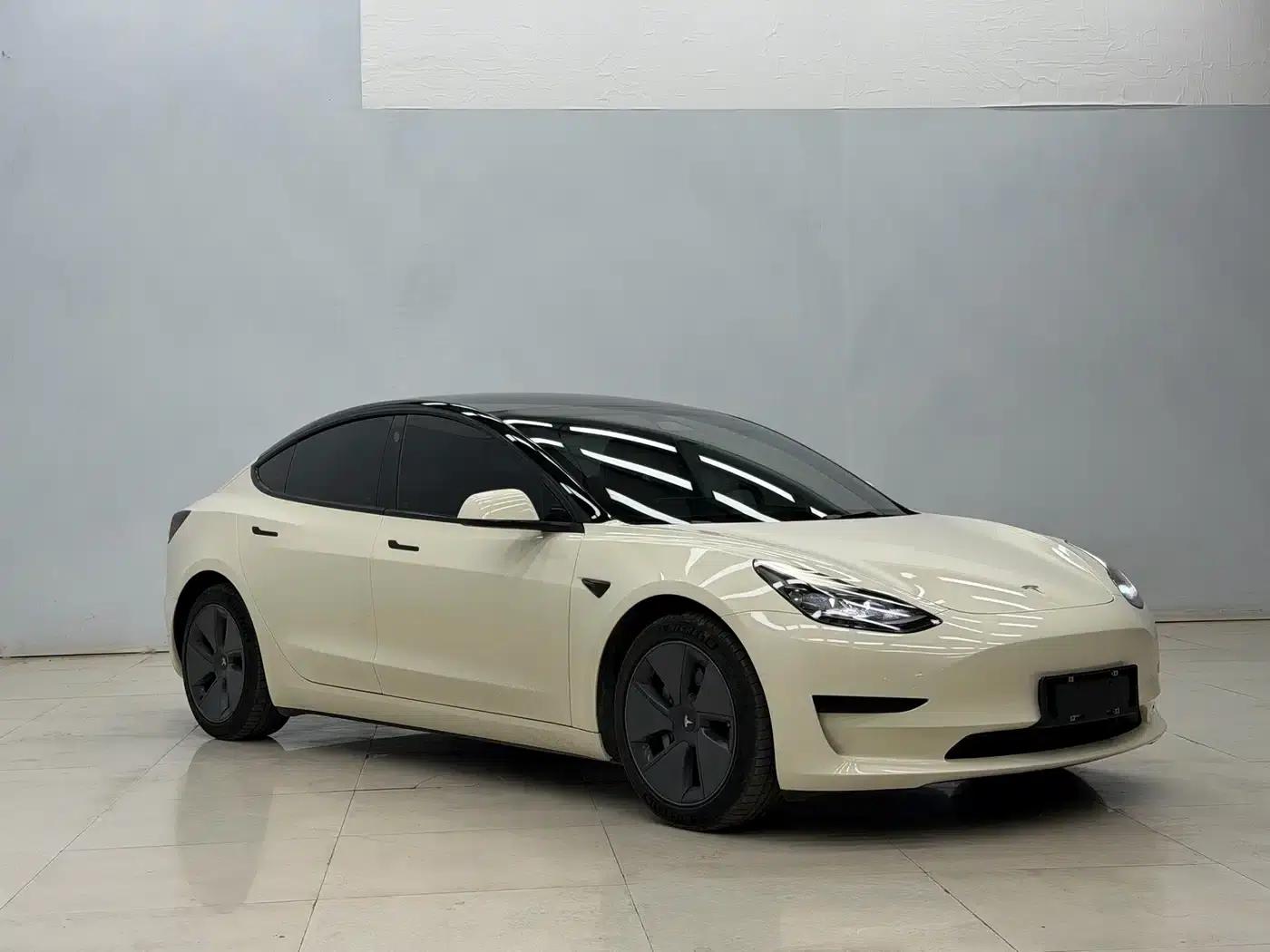Model 3 2021 Standard Range Rear-Wheel Drive Upgrade 3D6 — миниатюра 3