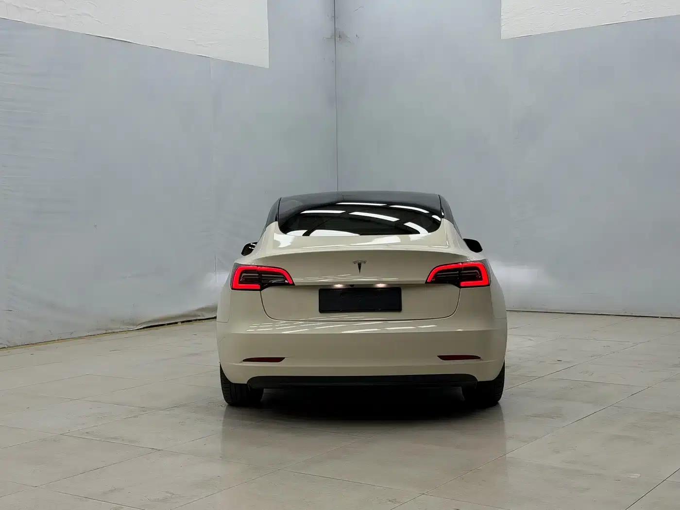Model 3 2021 Standard Range Rear-Wheel Drive Upgrade 3D6 — миниатюра 8