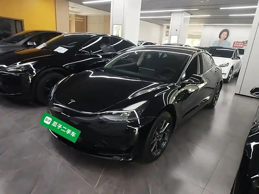 Model 3 2021 Standard Range Rear-Wheel Drive Upgrade 3D6 — миниатюра 2