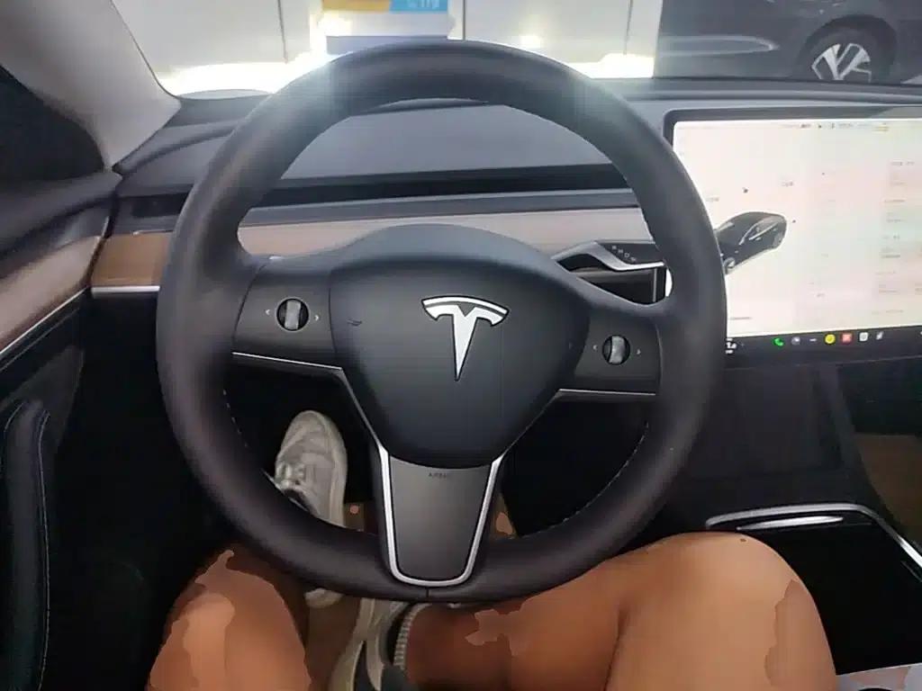 Model 3 2021 Standard Range Rear-Wheel Drive Upgrade 3D6 — миниатюра 11