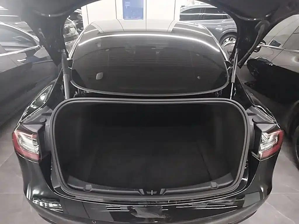 Model 3 2021 Standard Range Rear-Wheel Drive Upgrade 3D6 — миниатюра 19