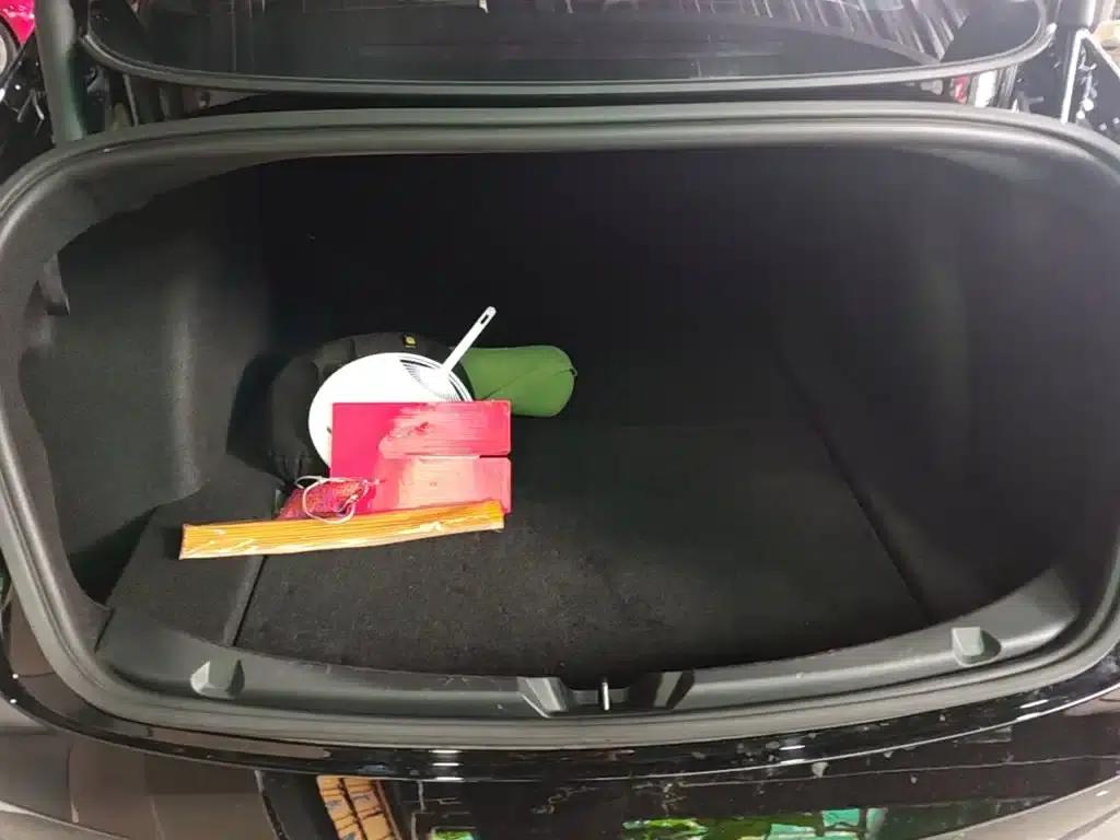 Model 3 2022 Performance All-Wheel Drive — миниатюра 19
