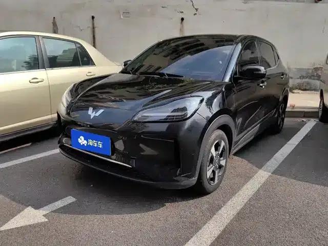 Wuling Bingo PLUS 2024 510km Flagship Edition Four-Seater