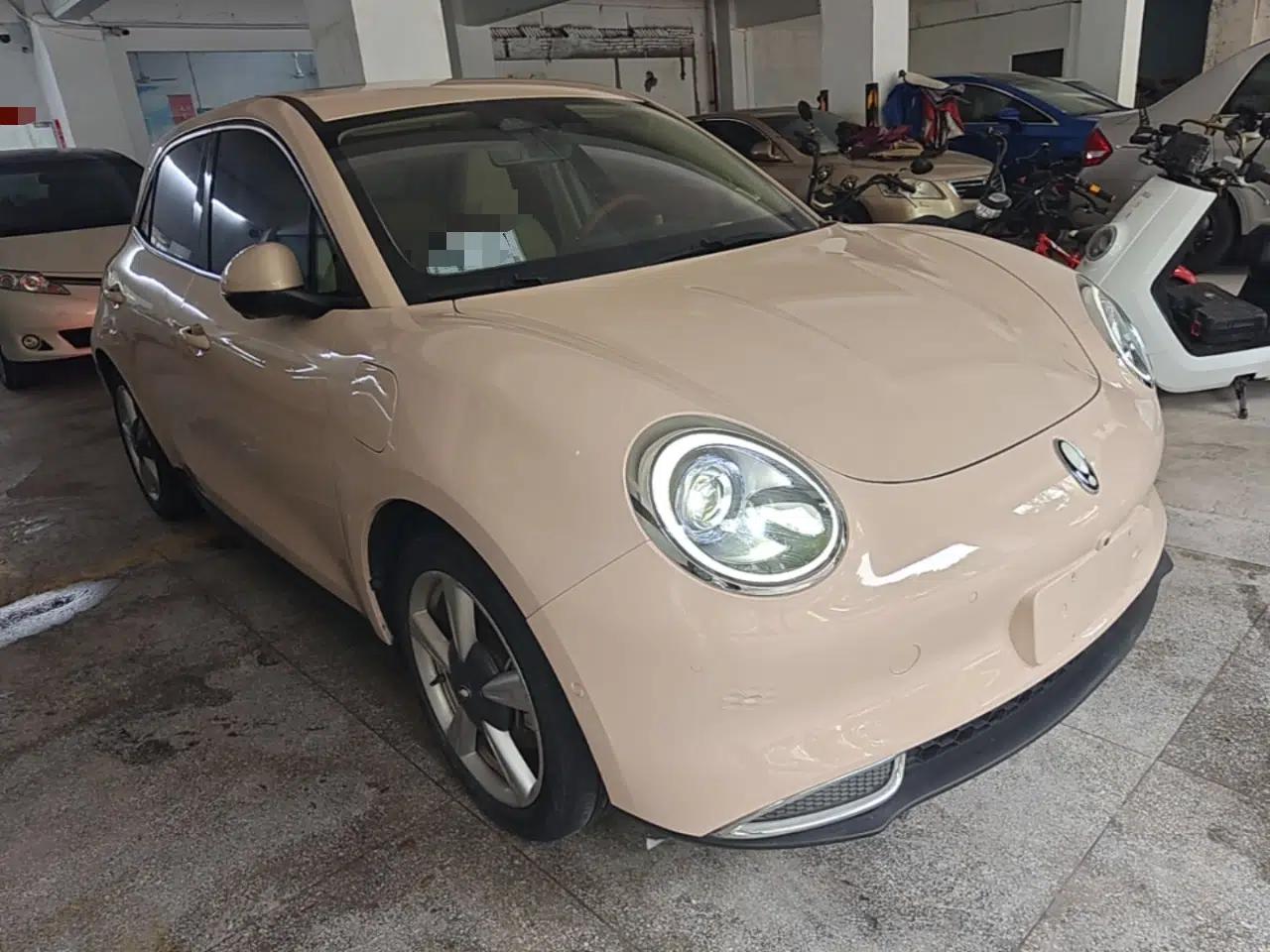 ORA Good Cat 2021 400km Standard Range Athena Edition Lithium Iron Phosphate — миниатюра 3