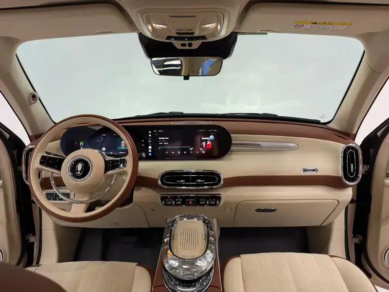 Euler Ballet Cat 2023 Model 401km Premium Edition — миниатюра 7