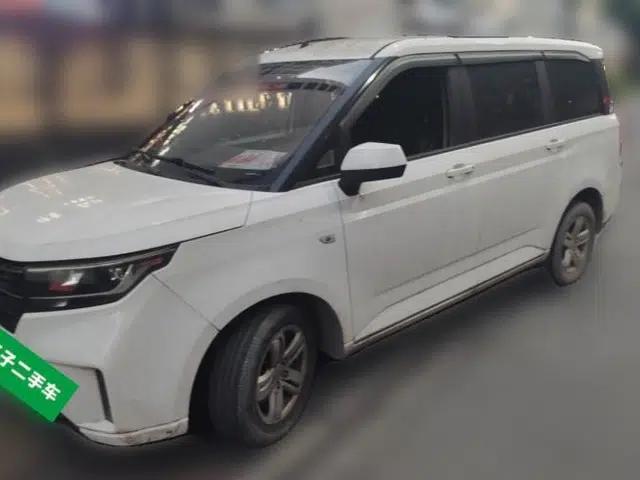 Wuling Hongguang PLUS 2019 1.5T Manual Luxury 7-Seater