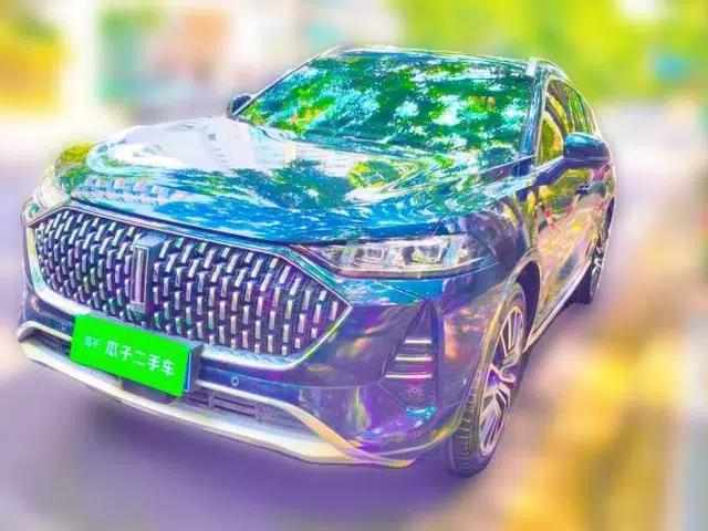 Wey Mocha 2021 2.0T Four-Wheel Drive Premium Edition