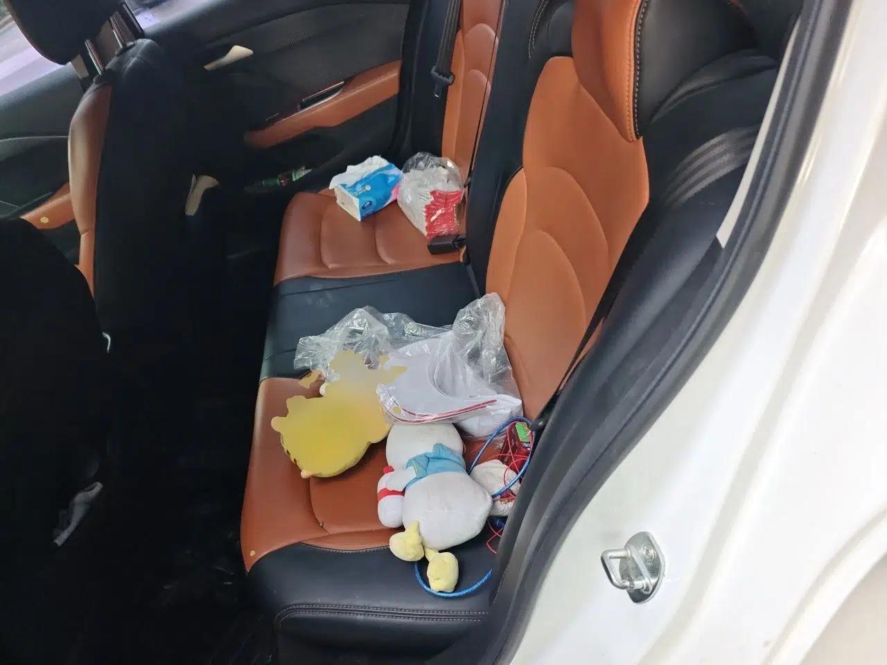 Chevrolet Cavalier 2019 320 Automatic Enjoyment with Sunroof — миниатюра 17