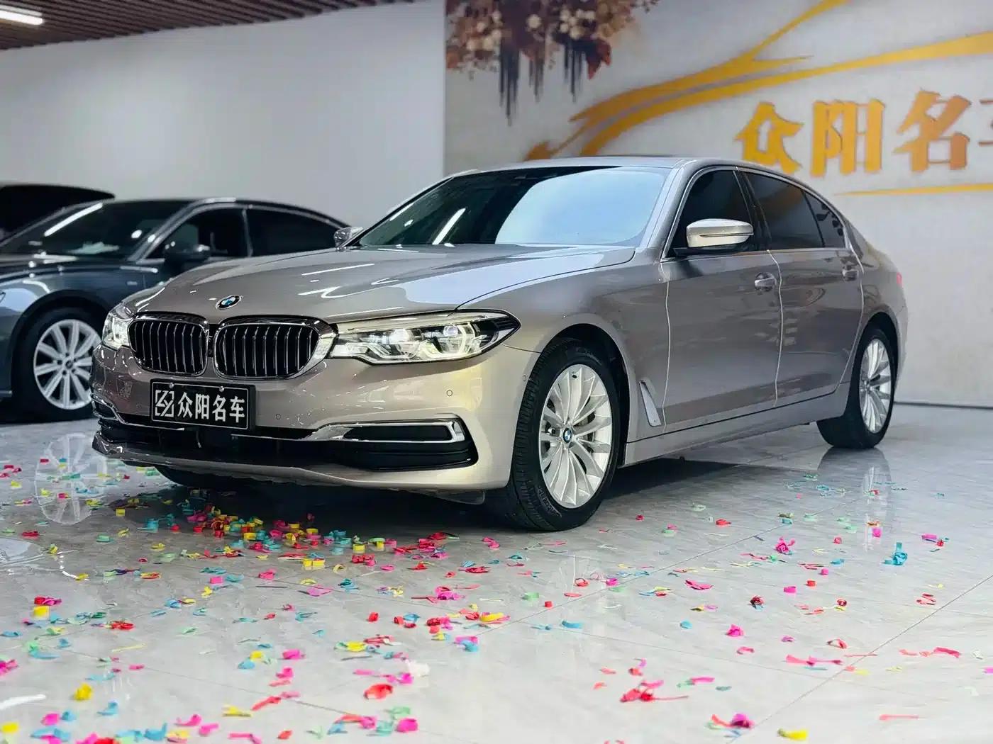 BMW 5 Series 2020 530Li Luxury Package — миниатюра 1