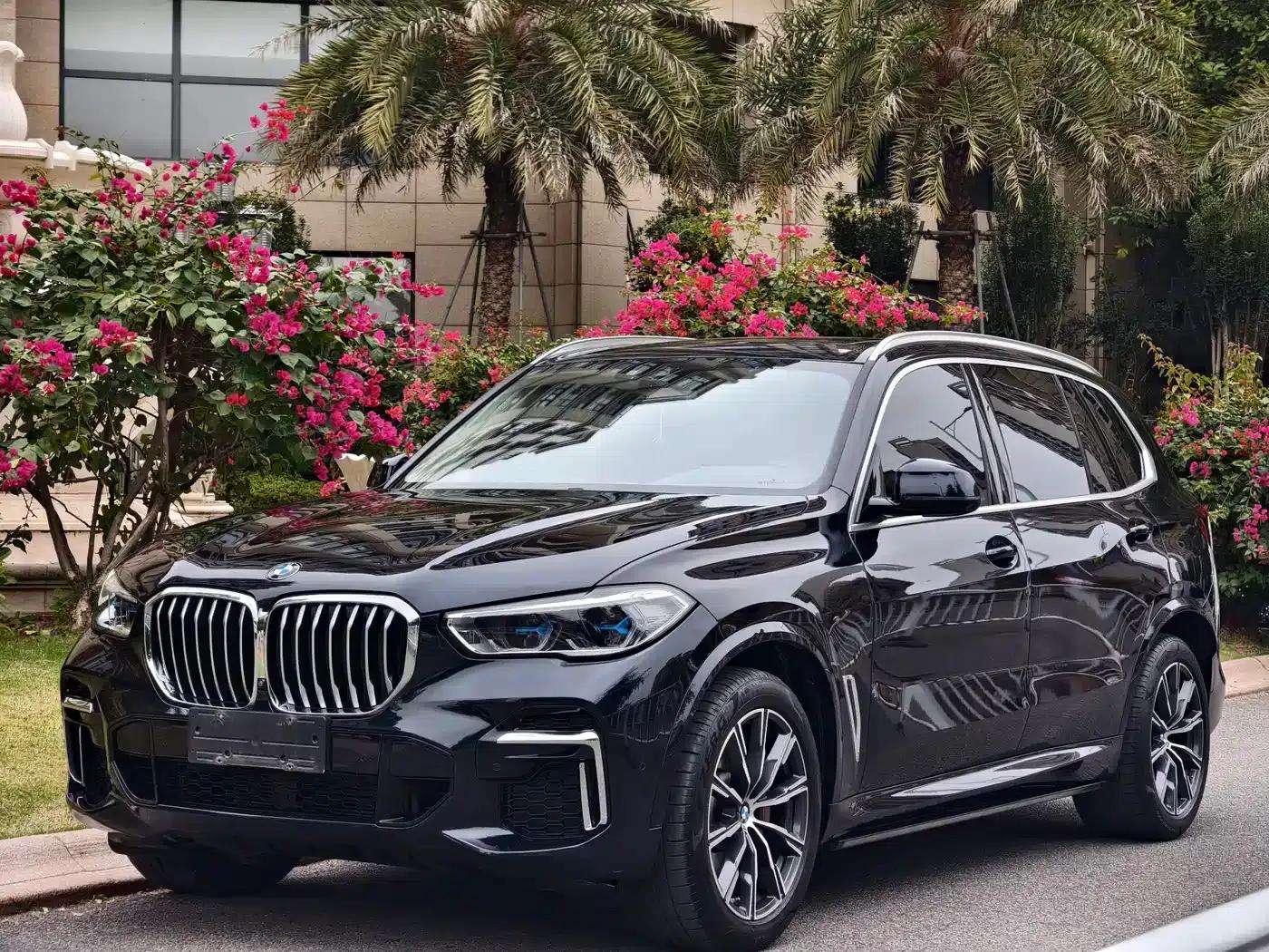 BMW X5 2022 Facelift xDrive 30Li M Sport Package — миниатюра 1