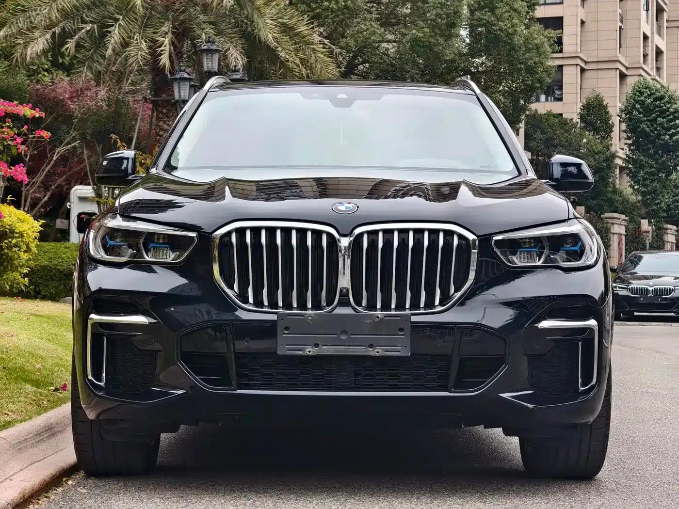 BMW X5 2022 Facelift xDrive 30Li M Sport Package — миниатюра 2