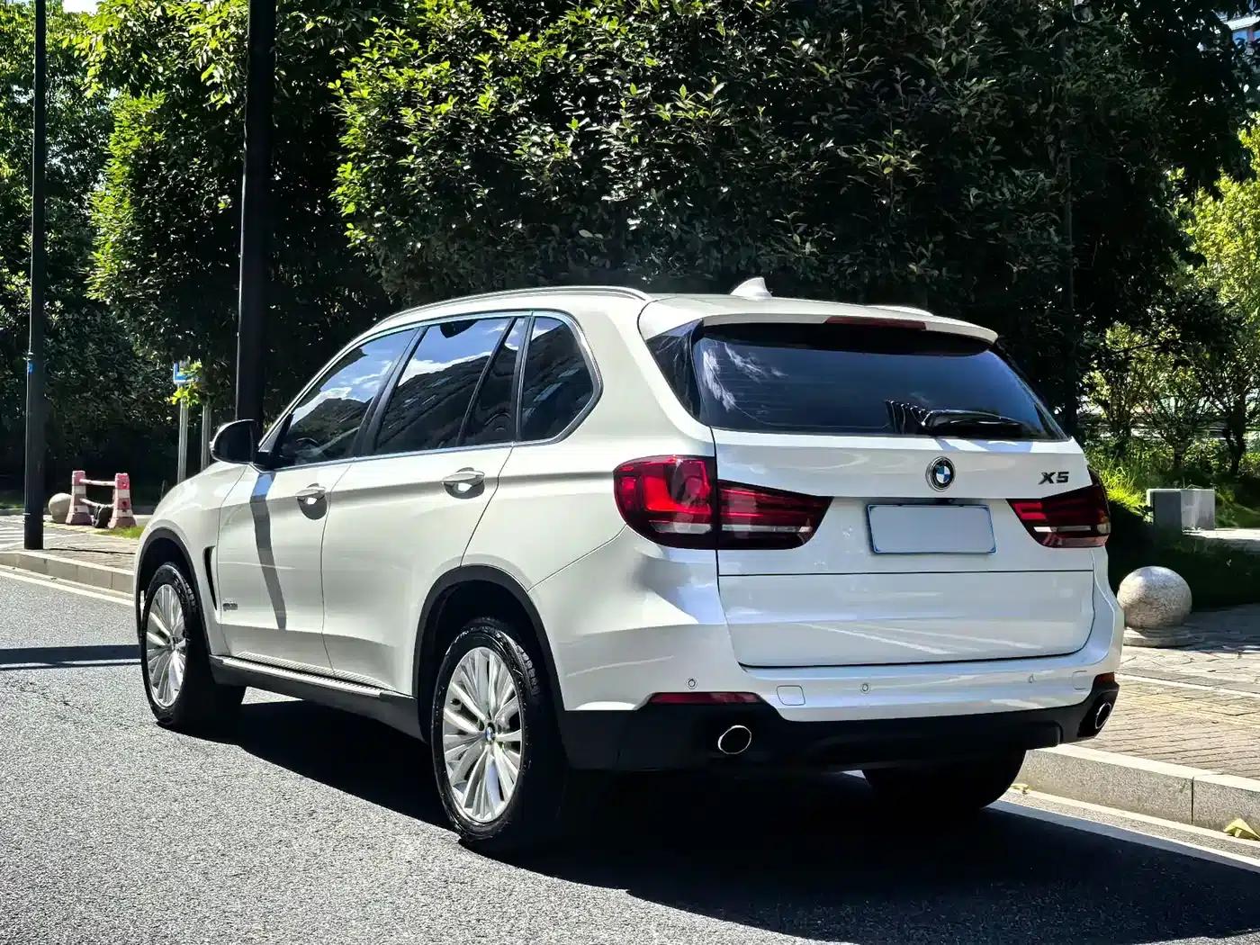 2014 BMW X5 xDrive35i Luxury (Imported) — миниатюра 6