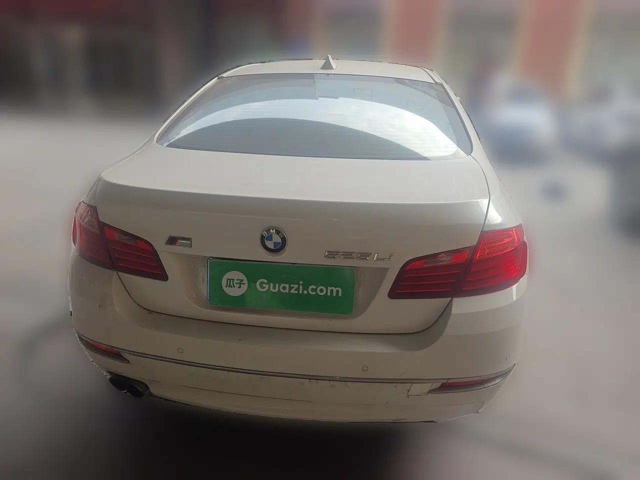 BMW 5 Series 2014 525Li Luxury Design Package — миниатюра 5